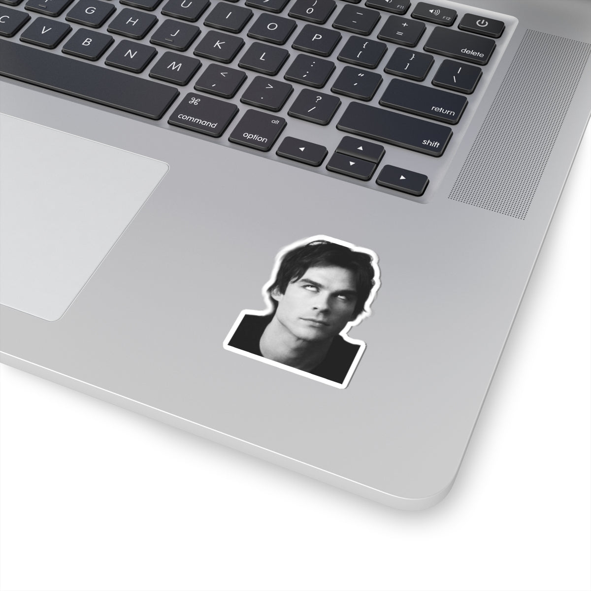 Black & White Damon Salvatore- The Vampire Diaries